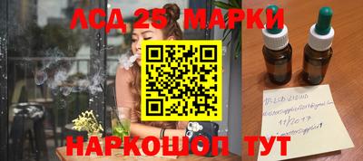 шишки Донской