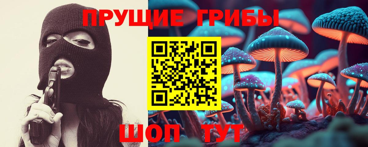 Галлюциногенные грибы Cubensis  Вход с VPN  Галлюциногенные грибы мухоморы  Луга 